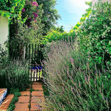 Apartament Sunny Lane Franschhoek Zewnętrze zdjęcie