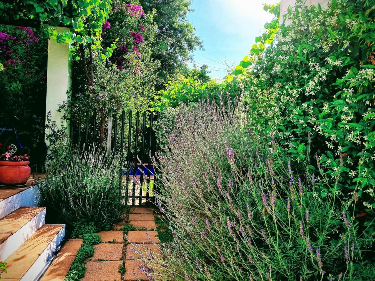 Apartament Sunny Lane Franschhoek Zewnętrze zdjęcie